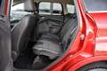 Ford Kuga 1.5 Titanium Styling Pack * Distributieriem nieuw Rot - thumbnail 24