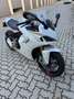 Ducati SuperSport 950s | 1.Hd | Scheckheftgepflegt Білий - thumbnail 3