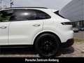 Porsche Cayenne E-Hybrid Luftfeder BOSE InnoDrive Panorama Weiß - thumbnail 13