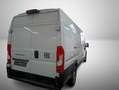Fiat Ducato 2.2 Maxi L4H2*Cargo+*Visibility+*Worksite Weiß - thumbnail 3