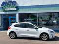 Ford Focus 1.0 EcoBoost KAT Blanc - thumbnail 2