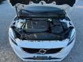 Volvo V40 V40 1.5 t2 Business geartronic my19 Wit - thumbnail 15