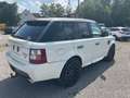 Land Rover Range Rover Sport Supercharged Bianco - thumbnail 5