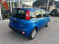 Fiat Panda Pandina *70 PS Benzin Mild Hybrid* Bleu - thumbnail 6