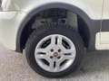Fiat Panda 1.3 MJT 16V DPF 4x4 Climbing Bianco - thumbnail 8