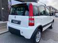 Fiat Panda 1.3 MJT 16V DPF 4x4 Climbing Bianco - thumbnail 5