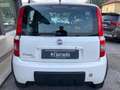Fiat Panda 1.3 MJT 16V DPF 4x4 Climbing Bianco - thumbnail 4