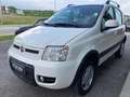 Fiat Panda 1.3 MJT 16V DPF 4x4 Climbing Bianco - thumbnail 7