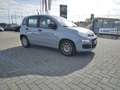 Fiat Panda 1.0 FireFly S&S Hybrid Grijs - thumbnail 3