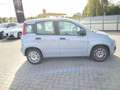 Fiat Panda 1.0 FireFly S&S Hybrid Grey - thumbnail 5