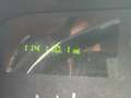 Lincoln Town Car 4.6 Signature Stretched Limo! Weiß - thumbnail 13