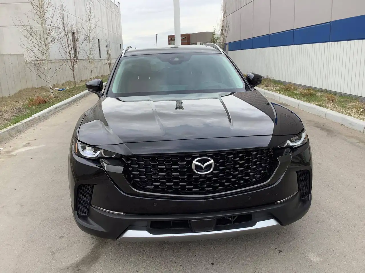 Mazda CX-50 снимка Mazda CX-50