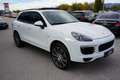 Porsche Cayenne Diesel Platinum Edition Wit - thumbnail 13