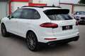 Porsche Cayenne Diesel Platinum Edition Wit - thumbnail 16