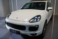 Porsche Cayenne Diesel Platinum Edition Wit - thumbnail 4