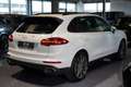 Porsche Cayenne Diesel Platinum Edition Wit - thumbnail 8