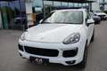 Porsche Cayenne Diesel Platinum Edition Wit - thumbnail 11