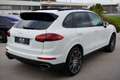 Porsche Cayenne Diesel Platinum Edition Wit - thumbnail 14
