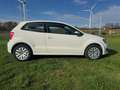 Volkswagen Polo Polo 1.4i / Garantie 12m. Bílá - thumbnail 6