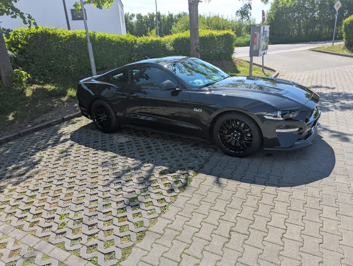 Ford Mustang Mustang Fastback 5.0 Ti-VCT V8 Aut. GT Grau - 2
