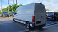 Mercedes-Benz eSprinter III Kasten  312 Sprinter FWD L2 KLIMA/RF Blanc - thumbnail 4