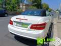 Mercedes-Benz E 220 CDI Cabrio BlueEFFICIENCY Bianco - thumbnail 7