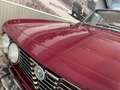 Alfa Romeo Giulia 2000 GT Veloce *Bertone* Burdeos - thumbnail 18