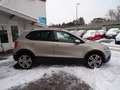 Volkswagen Polo Cross Polo 1.2 TSI, AUTOMATIK, 1-HAND Beige - thumbnail 4