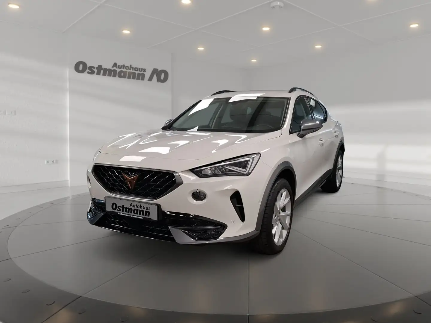 CUPRA Formentor 1.5 TSI ACC Navi DynLicht SHZ LED Weiß - 1