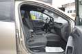Ford Focus 1.5 EcoBlue 120 CV 5p. ST-Line ( AUTOCARRO N1 ) Bronce - thumbnail 8