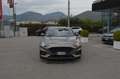 Ford Focus 1.5 EcoBlue 120 CV 5p. ST-Line ( AUTOCARRO N1 ) Bronce - thumbnail 2
