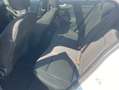 Ford Focus 1.0 EB ST-Line X*Pano*AHK*Bang&Olufsen*ACC Weiß - thumbnail 8