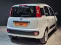 Fiat Panda 1.2 Gasolina/GLP Lounge Blanc - thumbnail 5
