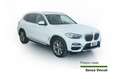 BMW X3 X3 xDrive20d xLine Tetto Panoramico Bianco - thumbnail 3