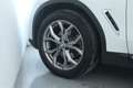 BMW X3 X3 xDrive20d xLine Tetto Panoramico Bianco - thumbnail 30
