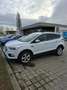 Ford Kuga Kuga 2,0 TDCi Titanium Powershift Aut. Titanium Weiß - thumbnail 1
