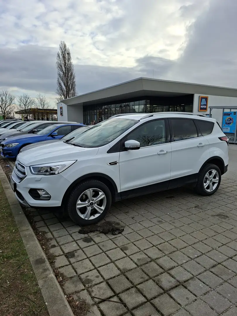 Ford Kuga Kuga 2,0 TDCi Titanium Powershift Aut. Titanium Weiß - 1