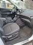 Ford Kuga Kuga 2,0 TDCi Titanium Powershift Aut. Titanium Weiß - thumbnail 13