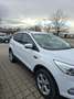 Ford Kuga Kuga 2,0 TDCi Titanium Powershift Aut. Titanium Weiß - thumbnail 3
