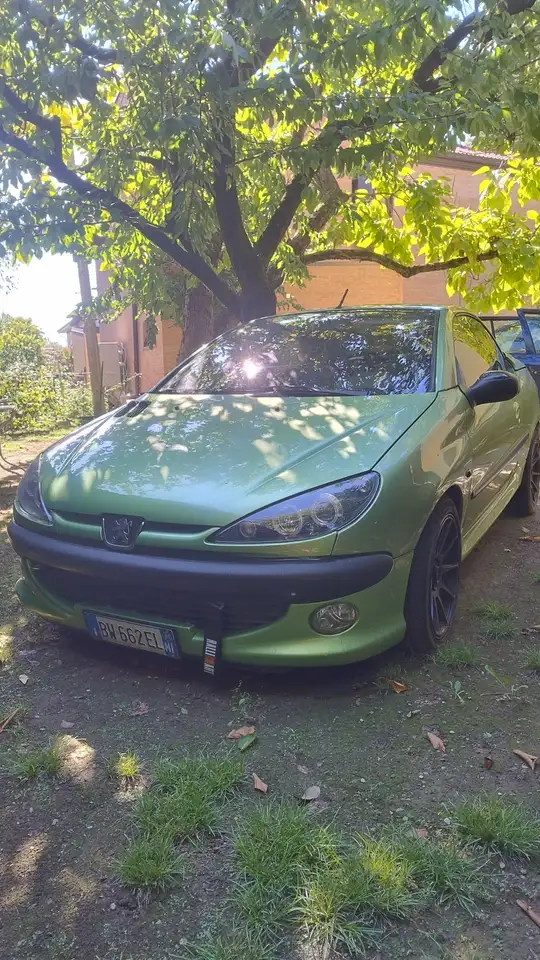 Peugeot 206 2.0 16v Unica per appassionati, foto 1