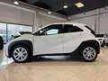 Toyota Aygo 1.0 VVT-i 72 CV 5 porte Active ADAS PRONTA IN SEDE Bianco - thumbnail 2