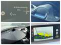 BMW 425 M Sport ((MOTOR 128TKM)) Weiß - thumbnail 21