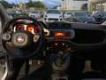 Fiat Panda Cross 1.3 MJT 95 CV S&S 4x4 Bianco - thumbnail 7