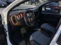 Fiat Panda Cross 1.3 MJT 95 CV S&S 4x4 Bianco - thumbnail 6
