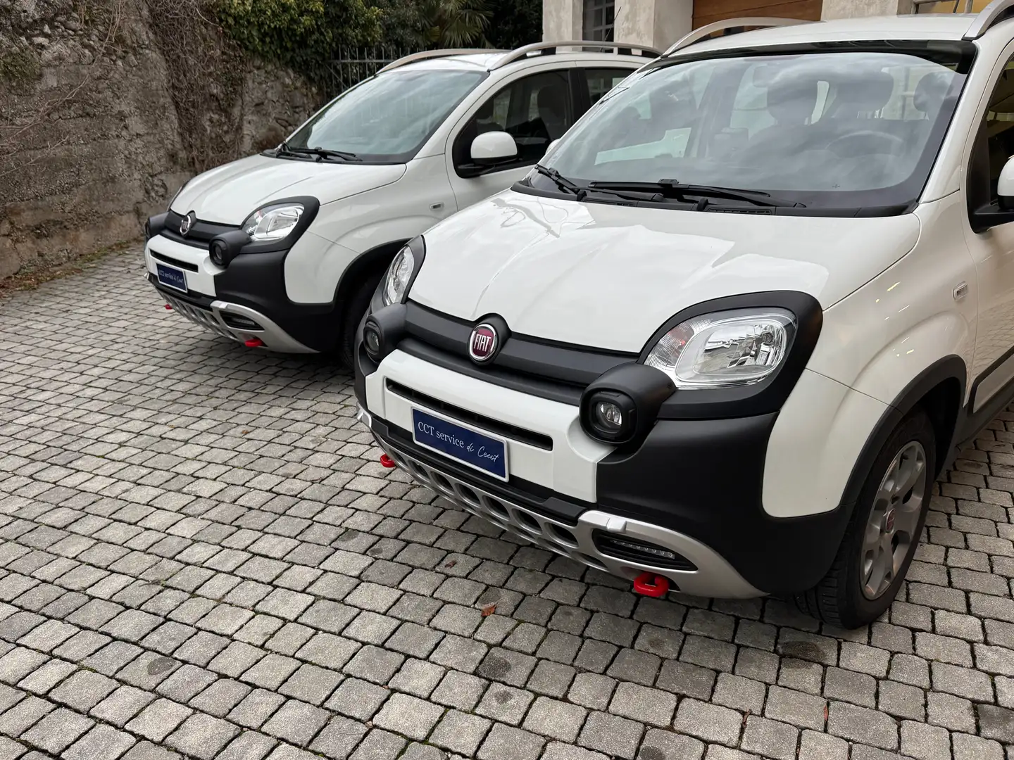 Fiat Panda 1.0 City Cross Plus Hybrid Bianco - 2