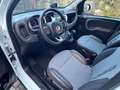 Fiat Panda 1.0 City Cross Plus Hybrid Bianco - thumbnail 10