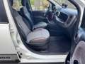 Fiat Panda 1.0 City Cross Plus Hybrid Bianco - thumbnail 11
