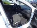 Hyundai i20 (BC3) GO Plus 1.0 T-GDI DCT b5bu3-O5 Blanc - thumbnail 31