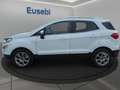 Ford EcoSport 1.5 Ecoblue 100 CV Start&Stop Plus Weiß - thumbnail 4