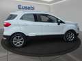 Ford EcoSport 1.5 Ecoblue 100 CV Start&Stop Plus Weiß - thumbnail 8